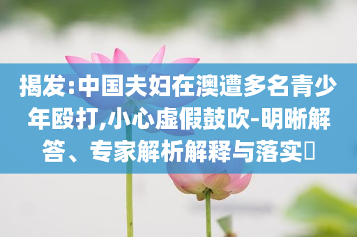 揭發(fā):中國夫婦在澳遭多名青少年毆打,小心虛假鼓吹-明晰解答、專家解析解釋與落實(shí)?