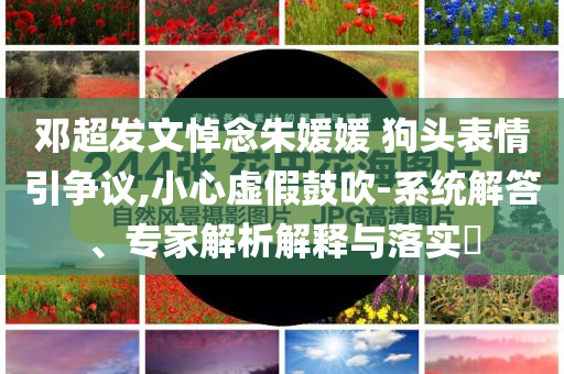 鄧超發(fā)文悼念朱媛媛 狗頭表情引爭議,小心虛假鼓吹-系統(tǒng)解答、專家解析解釋與落實(shí)?