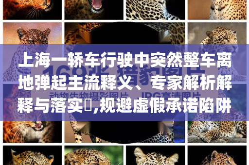 上海一轎車行駛中突然整車離地彈起主流釋義、專家解析解釋與落實(shí)?,規(guī)避虛假承諾陷阱