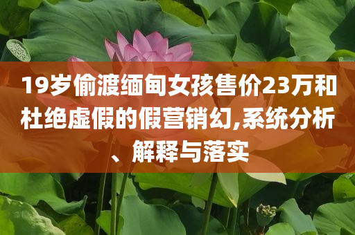 19歲偷渡緬甸女孩售價(jià)23萬和杜絕虛假的假營銷幻,系統(tǒng)分析、解釋與落實(shí)