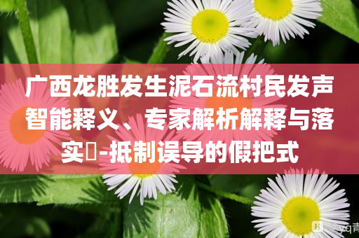 廣西龍勝發(fā)生泥石流村民發(fā)聲智能釋義、專家解析解釋與落實(shí)?-抵制誤導(dǎo)的假把式