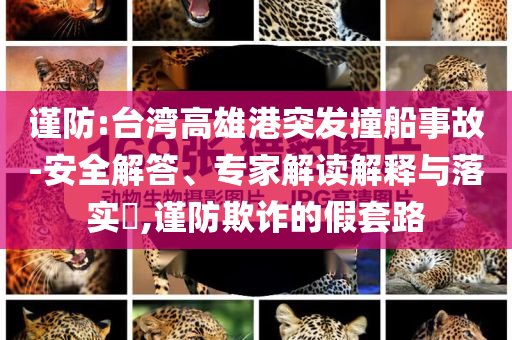 謹(jǐn)防:臺(tái)灣高雄港突發(fā)撞船事故-安全解答、專家解讀解釋與落實(shí)?,謹(jǐn)防欺詐的假套路