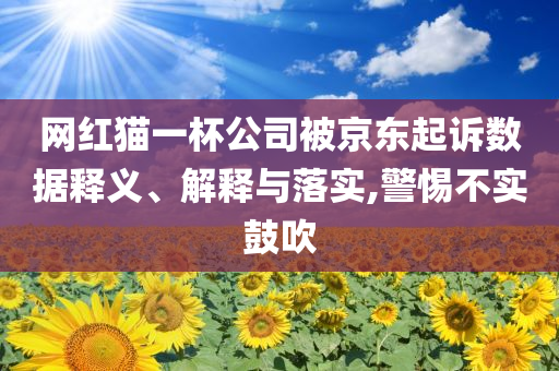 網(wǎng)紅貓一杯公司被京東起訴數(shù)據(jù)釋義、解釋與落實(shí),警惕不實(shí)鼓吹