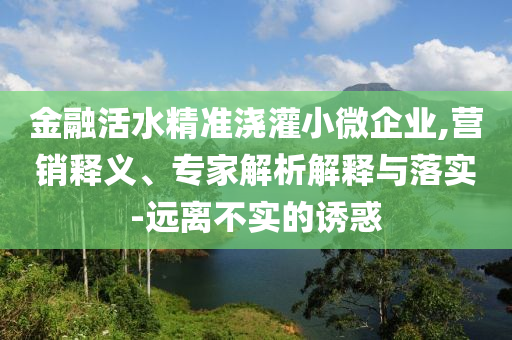 金融活水精準澆灌小微企業(yè),營銷釋義、專家解析解釋與落實-遠離不實的誘惑