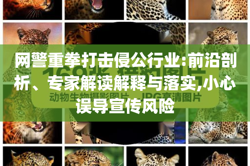 網(wǎng)警重拳打擊侵公行業(yè):前沿剖析、專家解讀解釋與落實(shí),小心誤導(dǎo)宣傳風(fēng)險(xiǎn)