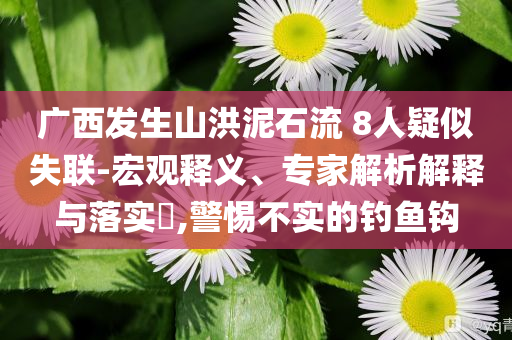 廣西發(fā)生山洪泥石流 8人疑似失聯(lián)-宏觀釋義、專家解析解釋與落實?,警惕不實的釣魚鉤