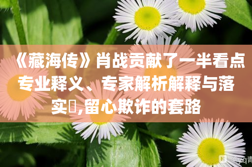 《藏海傳》肖戰(zhàn)貢獻了一半看點專業(yè)釋義、專家解析解釋與落實?,留心欺詐的套路