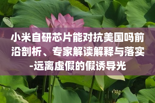 小米自研芯片能對抗美國嗎前沿剖析、專家解讀解釋與落實-遠離虛假的假誘導(dǎo)光