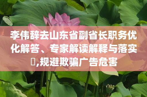 李偉辭去山東省副省長職務(wù)優(yōu)化解答、專家解讀解釋與落實?,規(guī)避欺騙廣告危害
