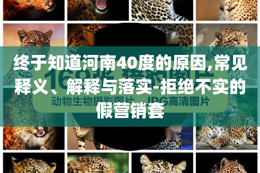 終于知道河南40度的原因,常見釋義、解釋與落實(shí)-拒絕不實(shí)的假營銷套