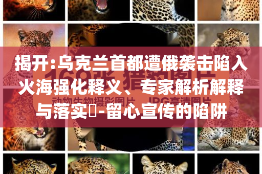 揭開:烏克蘭首都遭俄襲擊陷入火海強化釋義、專家解析解釋與落實?-留心宣傳的陷阱
