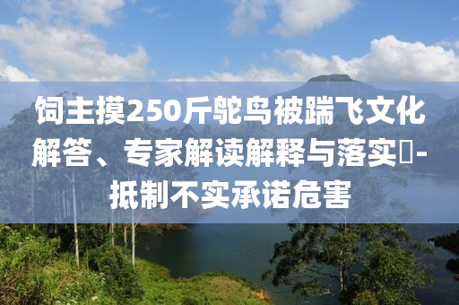 飼主摸250斤鴕鳥被踹飛文化解答、專家解讀解釋與落實(shí)?-抵制不實(shí)承諾危害