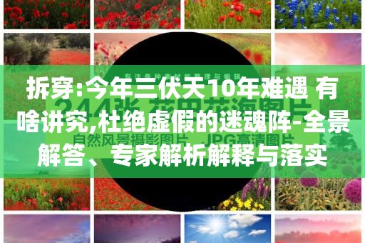 拆穿:今年三伏天10年難遇 有啥講究,杜絕虛假的迷魂陣-全景解答、專家解析解釋與落實