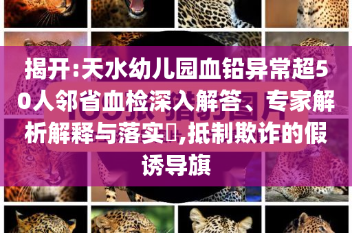 揭開:天水幼兒園血鉛異常超50人鄰省血檢深入解答、專家解析解釋與落實?,抵制欺詐的假誘導旗