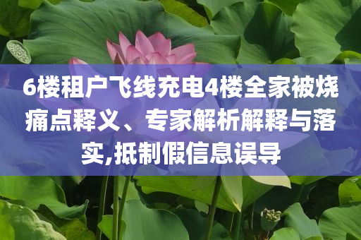 6樓租戶飛線充電4樓全家被燒痛點(diǎn)釋義、專家解析解釋與落實(shí),抵制假信息誤導(dǎo)