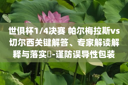 世俱杯1/4決賽 帕爾梅拉斯vs切爾西關(guān)鍵解答、專家解讀解釋與落實(shí)?-謹(jǐn)防誤導(dǎo)性包裝