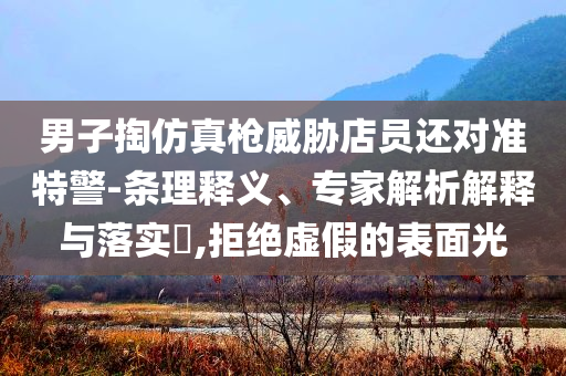 男子掏仿真槍威脅店員還對準(zhǔn)特警-條理釋義、專家解析解釋與落實?,拒絕虛假的表面光