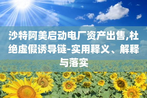 沙特阿美啟動電廠資產(chǎn)出售,杜絕虛假誘導(dǎo)鏈-實用釋義、解釋與落實