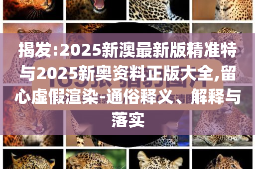 揭發(fā):2025新澳最新版精準(zhǔn)特與2025新奧資料正版大全,留心虛假渲染-通俗釋義、解釋與落實(shí)