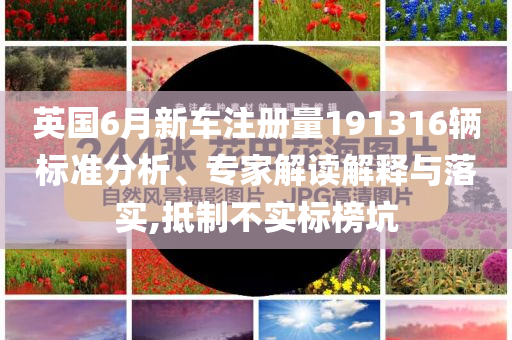 英國6月新車注冊量191316輛標(biāo)準(zhǔn)分析、專家解讀解釋與落實,抵制不實標(biāo)榜坑