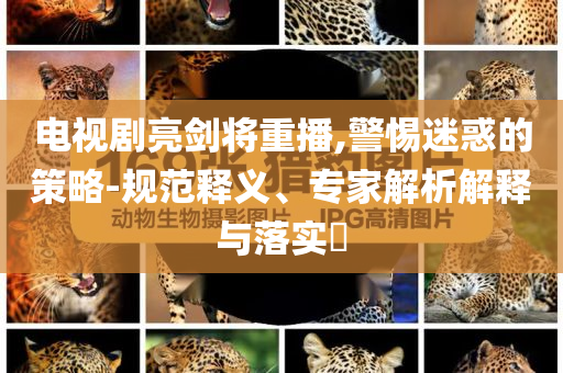 電視劇亮劍將重播,警惕迷惑的策略-規(guī)范釋義、專家解析解釋與落實?
