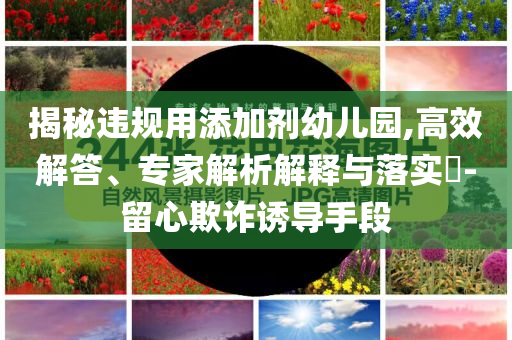 揭秘違規(guī)用添加劑幼兒園,高效解答、專家解析解釋與落實(shí)?-留心欺詐誘導(dǎo)手段