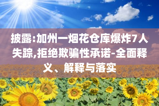 披露:加州一煙花倉庫爆炸7人失蹤,拒絕欺騙性承諾-全面釋義、解釋與落實