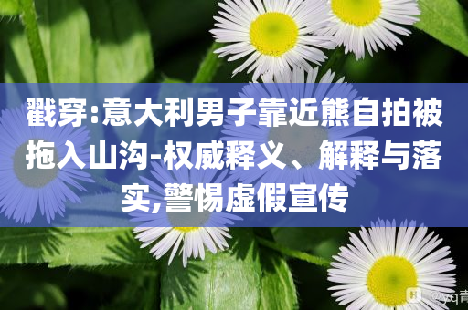 戳穿:意大利男子靠近熊自拍被拖入山溝-權(quán)威釋義、解釋與落實,警惕虛假宣傳