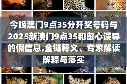 今晚澳門9點35分開獎號碼與2025新澳門9點35和留心誤導(dǎo)的假信息,全鏈釋義、專家解讀解釋與落實