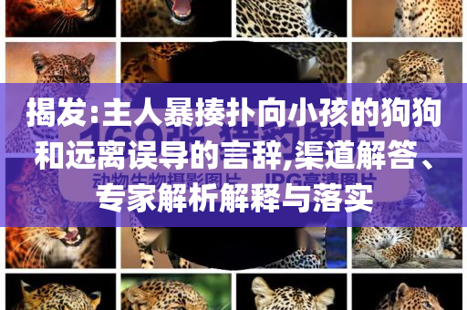 揭發(fā):主人暴揍撲向小孩的狗狗和遠離誤導(dǎo)的言辭,渠道解答、專家解析解釋與落實