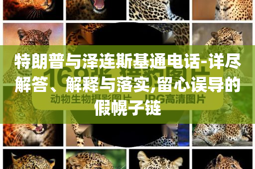 特朗普與澤連斯基通電話-詳盡解答、解釋與落實(shí),留心誤導(dǎo)的假幌子鏈