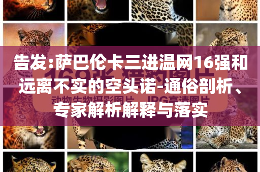 告發(fā):薩巴倫卡三進溫網16強和遠離不實的空頭諾-通俗剖析、專家解析解釋與落實
