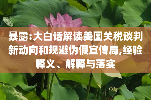 暴露:大白話解讀美國(guó)關(guān)稅談判新動(dòng)向和規(guī)避偽假宣傳局,經(jīng)驗(yàn)釋義、解釋與落實(shí)