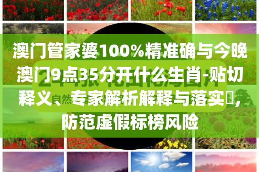 澳門管家婆100%精準(zhǔn)確與今晚澳門9點35分開什么生肖-貼切釋義、專家解析解釋與落實?,防范虛假標(biāo)榜風(fēng)險