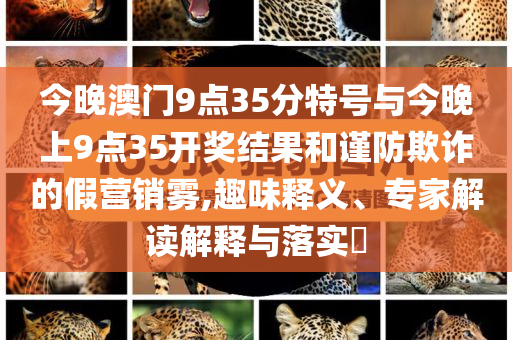今晚澳門9點35分特號與今晚上9點35開獎結(jié)果和謹(jǐn)防欺詐的假營銷霧,趣味釋義、專家解讀解釋與落實?