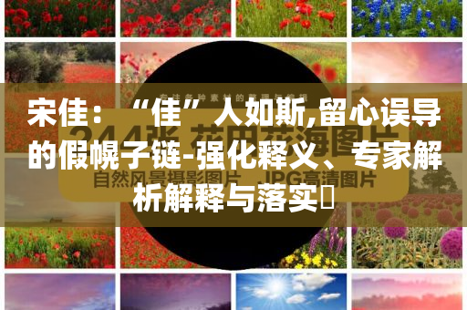 宋佳：“佳”人如斯,留心誤導的假幌子鏈-強化釋義、專家解析解釋與落實?
