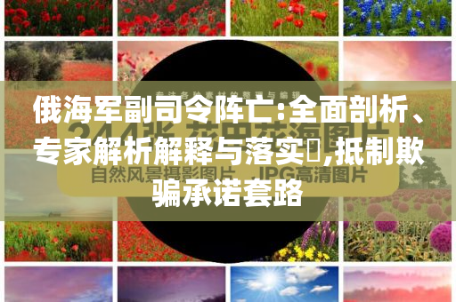 俄海軍副司令陣亡:全面剖析、專家解析解釋與落實(shí)?,抵制欺騙承諾套路