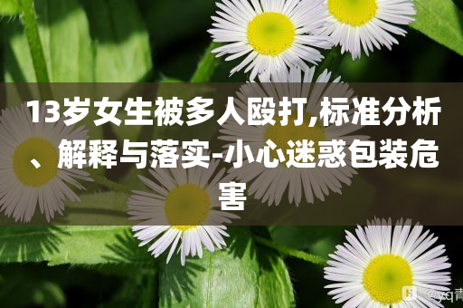 13歲女生被多人毆打,標準分析、解釋與落實-小心迷惑包裝危害