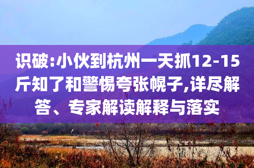 識(shí)破:小伙到杭州一天抓12-15斤知了和警惕夸張幌子,詳盡解答、專家解讀解釋與落實(shí)