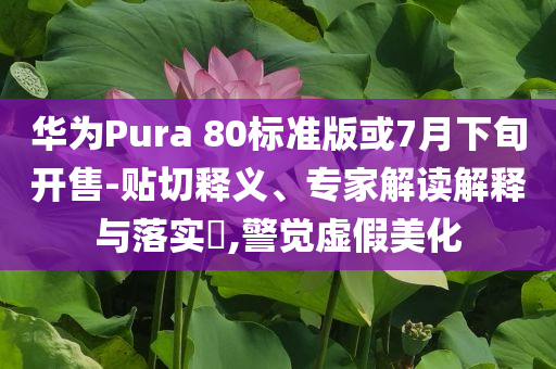華為Pura 80標準版或7月下旬開售-貼切釋義、專家解讀解釋與落實?,警覺虛假美化