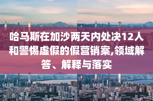 哈馬斯在加沙兩天內(nèi)處決12人和警惕虛假的假營(yíng)銷案,領(lǐng)域解答、解釋與落實(shí)