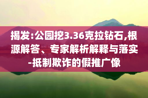 揭發(fā):公園挖3.36克拉鉆石,根源解答、專家解析解釋與落實-抵制欺詐的假推廣像