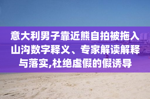 意大利男子靠近熊自拍被拖入山溝數(shù)字釋義、專家解讀解釋與落實(shí),杜絕虛假的假誘導(dǎo)