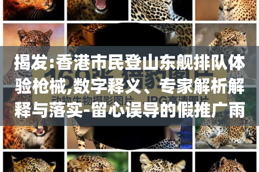 揭發(fā):香港市民登山東艦排隊體驗槍械,數(shù)字釋義、專家解析解釋與落實-留心誤導(dǎo)的假推廣雨