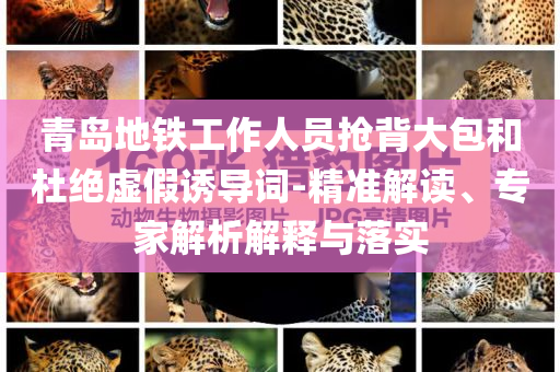 青島地鐵工作人員搶背大包和杜絕虛假誘導詞-精準解讀、專家解析解釋與落實