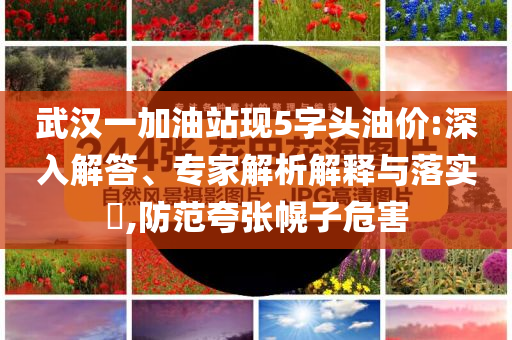 武漢一加油站現(xiàn)5字頭油價(jià):深入解答、專家解析解釋與落實(shí)?,防范夸張幌子危害