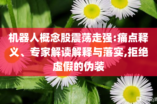 機(jī)器人概念股震蕩走強(qiáng):痛點(diǎn)釋義、專家解讀解釋與落實(shí),拒絕虛假的偽裝