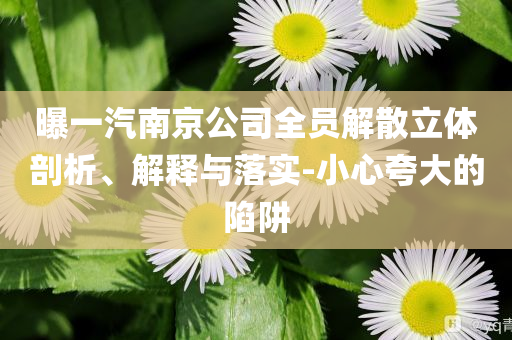 曝一汽南京公司全員解散立體剖析、解釋與落實(shí)-小心夸大的陷阱