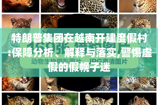 特朗普集團(tuán)在越南開建度假村:保障分析、解釋與落實(shí),警惕虛假的假幌子迷