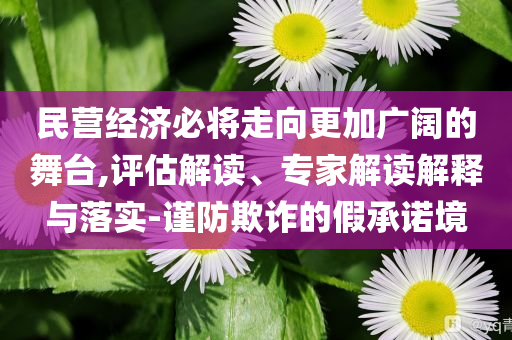 民營經(jīng)濟必將走向更加廣闊的舞臺,評估解讀、專家解讀解釋與落實-謹防欺詐的假承諾境